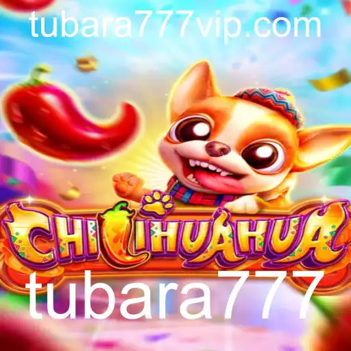 Descubra o Fascinante Mundo de CHILIHUAHUA